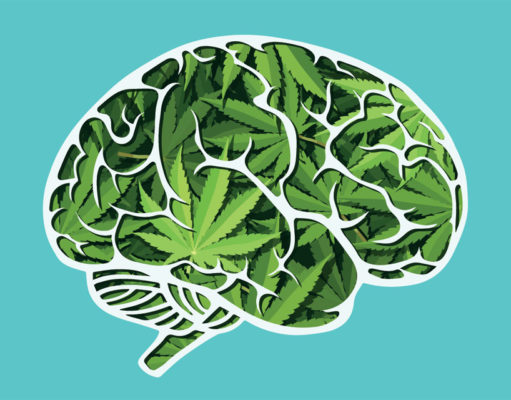 Arizona parents of children with autism fight to legally use medical marijuana