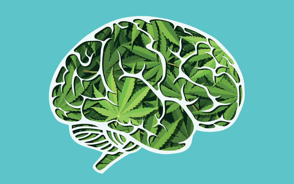 Arizona parents of children with autism fight to legally use medical marijuana