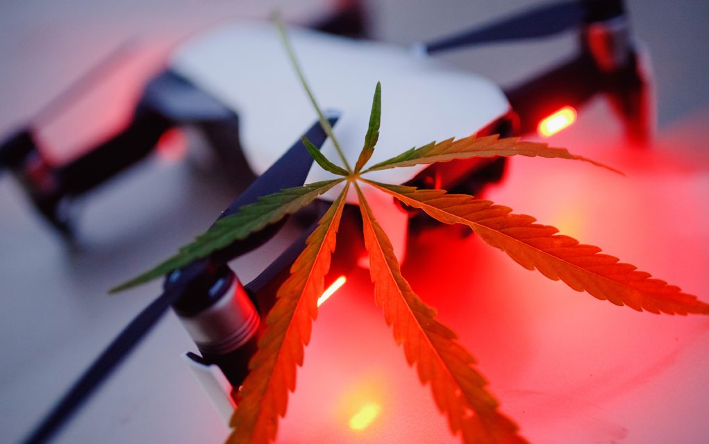 Seattle cannabis businesses may start getting their deliveries via drone