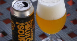 Drink of the Week: Finkel & Garf Brewing Co.’s Dry Hopped Lulo Sour