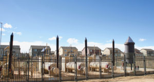 News briefs: Local oil and gas regs proposed, and more