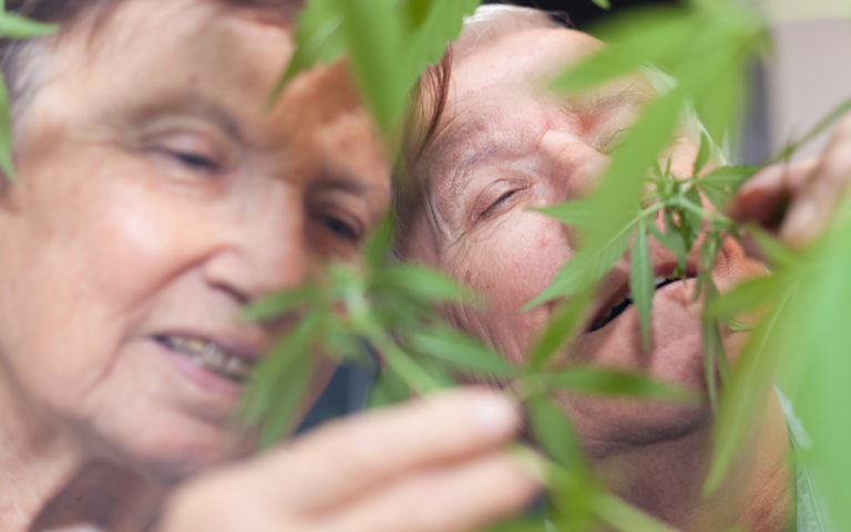 Pot use among seniors keeps going up