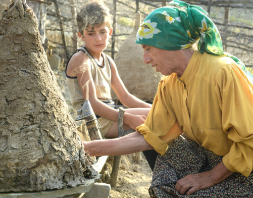 Films to watch for Earth Day