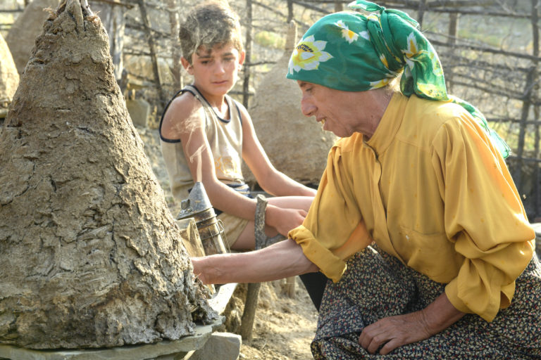 Films to watch for Earth Day