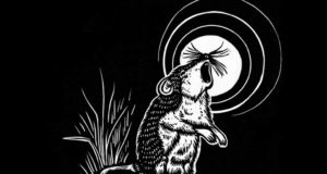 Pro tips on physical distancing from the nonhuman world