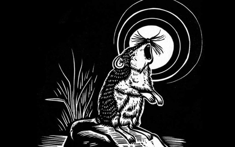 Pro tips on physical distancing from the nonhuman world