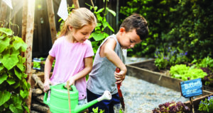 What to do when there’s ‘nothing’ to do…