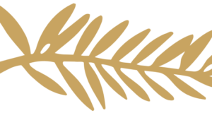 Home viewing: Palme d’Or winners