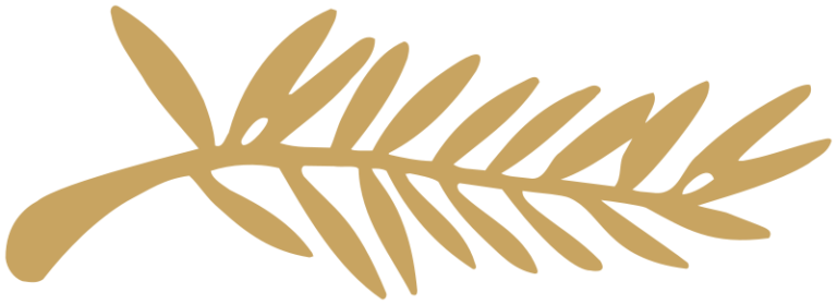 Home viewing: Palme d’Or winners