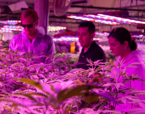 The Colorado special