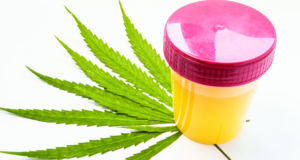 Want to avoid a pre-employment drug test? Look for work at the top