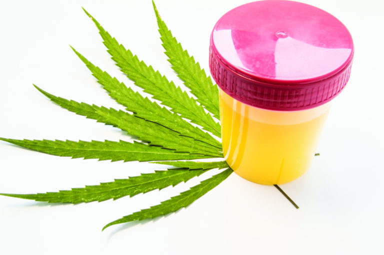 Want to avoid a pre-employment drug test? Look for work at the top