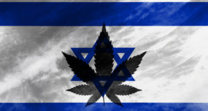 Israel gets serious about legalizing pot