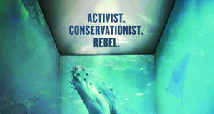 Home viewing: Boulder Environmental / Nature / Outdoor Film Festival