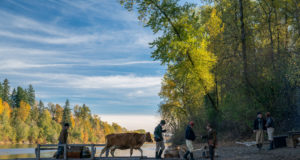 Unexpected capitalism on the Oregon Trail