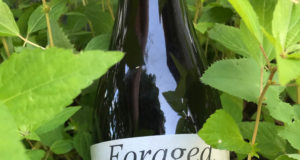 Wrangling wild yeast