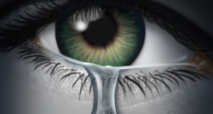 Naropa Eco-Resilience group addresses collective climate grief