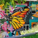 Casper_Showy Milkweed