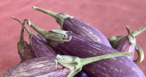 In season: Fairytale eggplants at Rocky Mountain Fresh