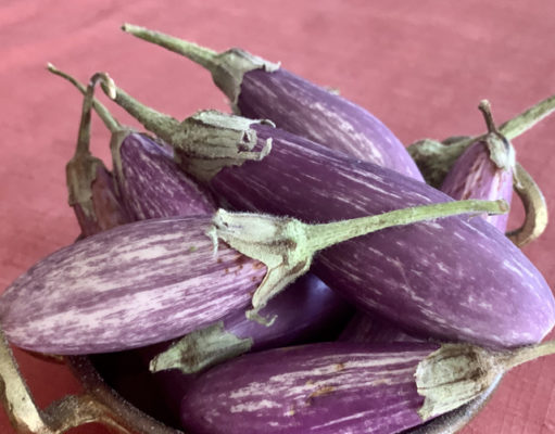 In season: Fairytale eggplants at Rocky Mountain Fresh