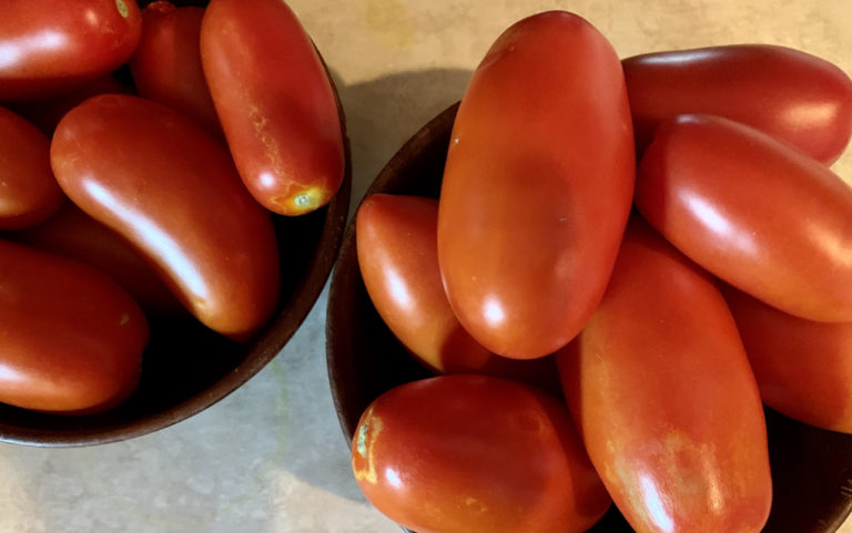 Time for tomatoes