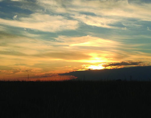 Trail running the Davidson Mesa