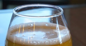 Drink this: Seedstock Brewery’s Horner Beer