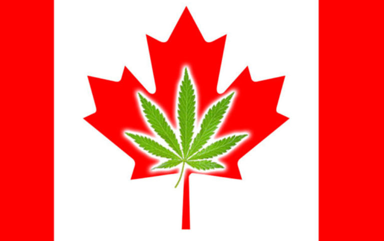 Medically validating pot: Canada’s first medical cannabis clinical trial