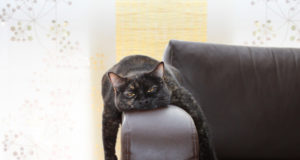 What to do when there’s ‘nothing’ to do…