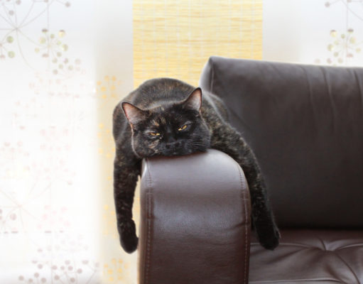 What to do when there’s ‘nothing’ to do…