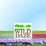 1 Wild Daze