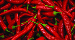 What to do when there’s ‘nothing’ to do…