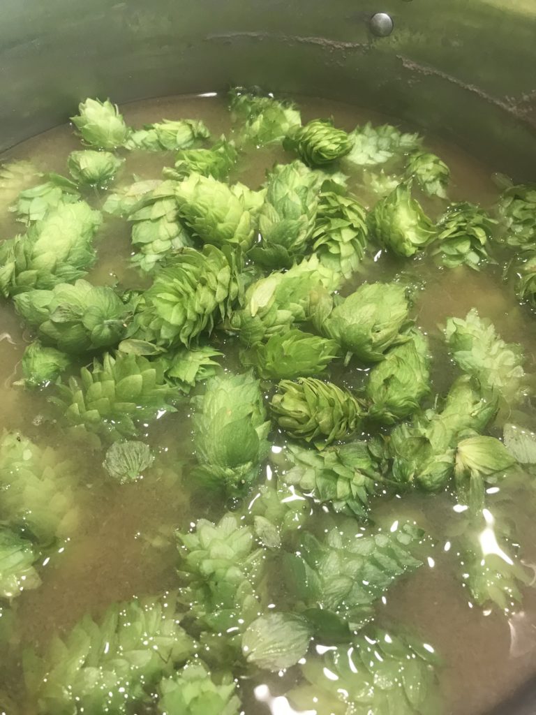 Reap the benefit of the hop harvest