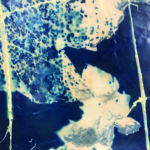 Kolough2_Caitlin