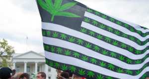 The color of cannabis