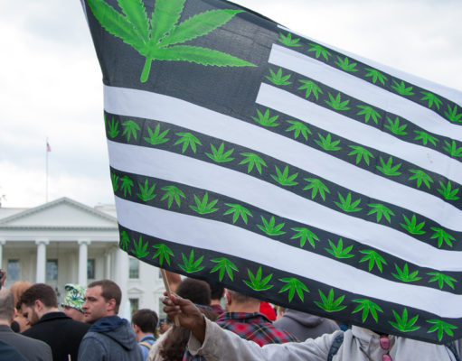 Election fallout in the green industry