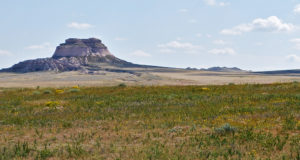 Oil and gas permitting in national forests may get easier