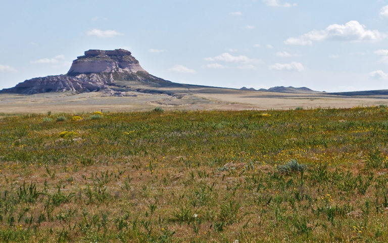 Oil and gas permitting in national forests may get easier