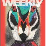 newsletter-cover