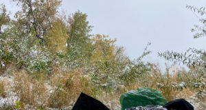 Unhoused: Managing Scarcity