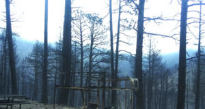 News from around the County