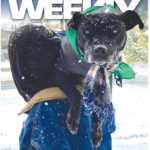 Newsletter-cover