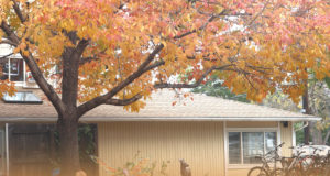 ‘Everything here is frustrating’