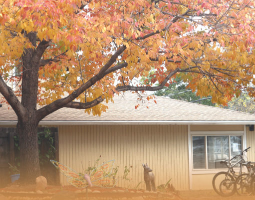 ‘Everything here is frustrating’