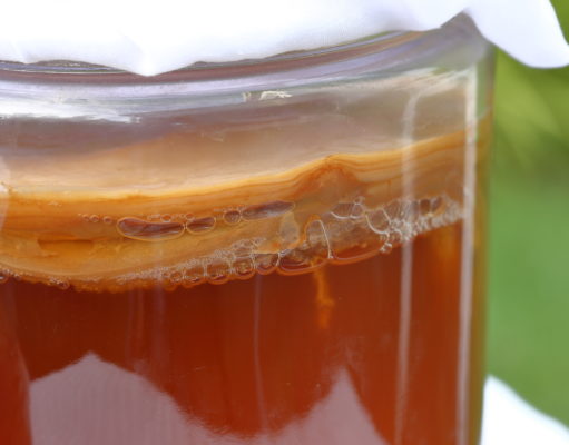 What can’t kombucha do?