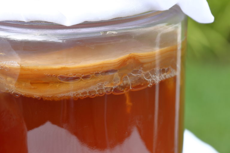 What can’t kombucha do?
