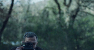 Six shorts and a feature