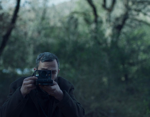 Six shorts and a feature