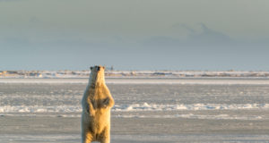 Nothing is guaranteed