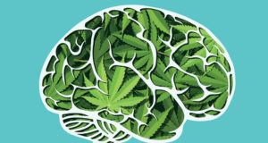 Stone your compulsions